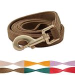 Petiry Soft Dog Leash with Gold Metal Clasp for Puppy Small Dogs,1.5cm x 150cm,Brown S