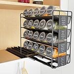 SpaceAid Pull Out Spice Rack Organi