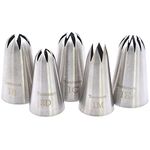 Tumtanm 5 Pack Extra Large Piping Nozzles, 1B 1C 1E 1M 2D# Seamless Stainless Steel Piping Icing Tips