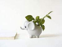 Local Kala's Bestselling Cute Small White Elephant Indoor Planter Plant Pot with Drainage Hole for Table/Desk/Gifting/Garden Size (12 cm X 9 cm) - Without Plant