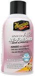 MEGUIAR'S G201502 Air Re-Fresher Fiji Sunset – Car Air Freshener (Tropical Smell) 57 g