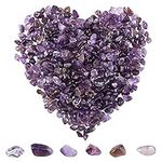 SUNNYCLUE About 400pcs Amethyst Chips Beads 5-8mm Long Amethyst Crystal Chips with Holes Irregular Chips Stone Beads Gemstone Semi Precious for DIY Jewellery Making Bracelet Necklace, 139g