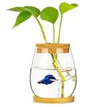 Desktop Fish Bowl Clear Glass Small Fish Tank with Wood Lid and Bamboo Stand for Betta Fish Plants Terrarium Home Office Decoration Gifts