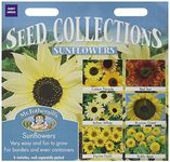 Mr Fothergill's 18584 Flower Seeds, Sunflowers Collection, Red,White