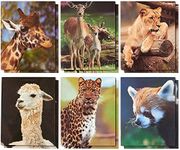 Wild Animal File Folders with Pockets, School Supplies (9.5 x 12 in, 12 Pack)