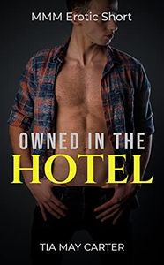 Owned in the Hotel: MMM Erotic Short (Claiming the Twink Book 3)