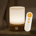 Smilodon Rechargeable Beside Lamp with Timer and Remote, LED Touch Lamp, Bedroom Night Lamp,Battery Operated Table Lamps