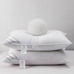 Eastwarmth Bedding Natural Goose Down & Feather Pair Pillows for Sleeping, Set of 2, 100% Organic Cotton, Standard 20x26in