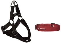 Pets Like Poly Collar, Maroon (32mm) & Regular Harness, Medium (Black)