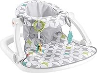 Fisher-Price Portable Baby Chair Si