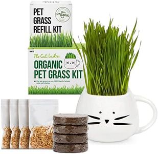 TCL White Cat Mug Cat Grass Kit and Refill