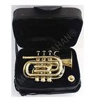 SM SAI MUSICAL Pocket Trumpet 3 Valve's Pro Shinning Brass with Mouth Piece and Case