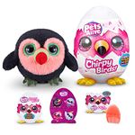 Pets Alive Chirpy Birds (Toucan) by ZURU, Electronic Pet That Speaks, Giant Surprise Egg, Stickers, Comb, Fluffy Clay, Bird Animal Plush for Girls