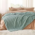 Bedsure Soft Fleece Blanket Queen Size for Bed, Sage Green Checkered Blanket for Winter, Warm Cozy Thick Fluffy Fuzzy Plush Cute Blanket Gifts for Women, Girls, 90x90