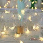 Moon String Lights,Outdoor LED String Lights 3m Set of 20 LED for Wedding Garden Decoration,Party Festival Lights, Christmas Thanksgiving Decor