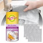 Scrubber For Stainless Steel