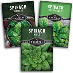 Spinach Seed Collection - 3 Packets of Seeds to Grow - Viroflay, Noble, Bloomsdale Spinach Varieties - Non-GMO Heirloom Open-Pollinated Seeds to Plant - Seed Saver Instructions - Survival Garden Seeds