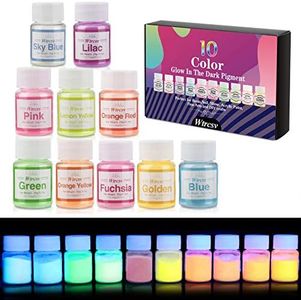 Glow in The Dark Pigment, 10 Colour Luminous Powder Non-Toxic Safety Pigment Powder for Paint, Slime, Nails, Resin, Concerts or DIY - 20g20ml Each(Total 210ml)