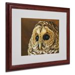 Barred Owl Portrait Matted Framed Art by Lois Bryan with Wood Frame, 16 by 20-Inch