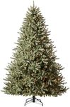 Balsam Hill 6.5ft Pre-Lit Classic B