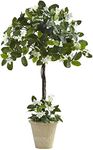 Nearly Natural Stephanotis Topiary 