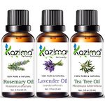 KAZIMA Essential Oils - Rosemary Oil, Lavender Oil & Tea Tree Oil (Combo Pack of 3) 15 ml Each