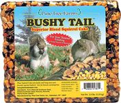 Bushy Tail Squirrel Cake