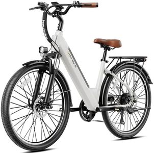 Heybike Ci
