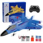 ANTSIR F22 RC Airplane Easy to Fly - 2.4GHz Remote Control Fighter Jet with Gyro Stabilizer & LED Lights, 2 Batteries Foam RC Glider for Kids Boys Adults Beginners (Blue)