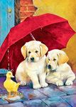 NAIMOER Dog Diamond Painting Kits for Adults - Animals Full Drill Diamond Dots Paintings for Beginners, 5D Paint with Diamonds Pictures Gem Art Diamond Painting Kits DIY Adult Crafts Kits 30x40cm