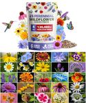 Wildflower Seeds - Premium Flower Seeds [1/4 Pound] Perennial Garden Seeds for Attracting Birds & Butterflies - Flower Seeds for Planting Outdoor (Perennial)