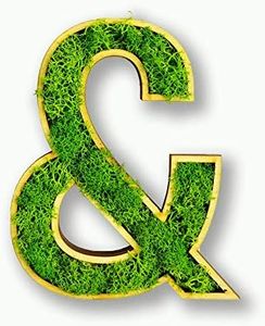 Acryltypo Moosly® - Cuadro de musgo con marco de madera, diseño de letras de musgo islandés auténtico, adhesivo para pared, decoración de salón, fabricado en Alemania, símbolo y