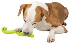 Trixie Snack Snake, treat activity toy for dogs