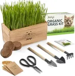 Organic Cat Grass for Indoor Cats - 4X Seed Packets | Pet Cat Grass Kit for Growing Wheat Grass w Planting Seeds, Tools & Planter