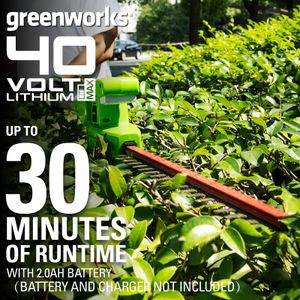 Greenworks Cordless Pole Hedge Trimmer – Lightweight, Battery Powered
