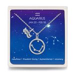 Qings Aquarius BFF Necklace Cubic Zirconia Horoscope Birthstone Best Friend Crystal Necklaces