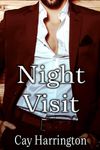 Night Visit: Book Three in the MM Romance Naughty Issues Series