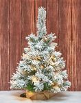 Osfvn Flocked Christmas Tree 2ft Prelit Battery Operated Timer Lighted Artificial Small Mini Xmas Pine Trees Decorations Tabletop Centerpiece Mantel Home Decor