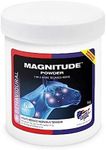 Equine America Magnitude Powder: 1k