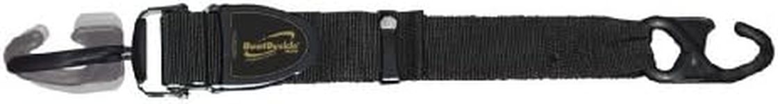 BoatBuckle Kwik-Lok G2 Transom Tie-Down, 2-Pack, 2-Inch x 4-Feet