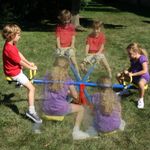 Swing N Slide See Saw Spinner