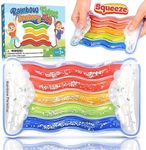 Rainbow Sensory Toys for Kids - Fid