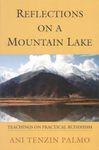 Reflections on a Mountain Lake: Teachings on Practical Buddhism