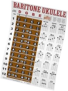 Baritone Ukulele Fretboard Notes & Easy Beginner Chord Chart Instructional Poster for Bari Uke by A New Song Music 11"x17"