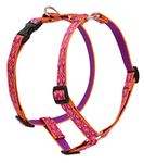 LupinePet Originals 3/4" Alpen Glow 12-20" Adjustable Roman Dog Harness for Small Dogs