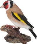 Vivid Arts Goldfinch Bird | Resin Home or Garden Decoration | WBC-GOLF-F