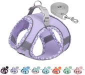 AIITLE No Pull Dog Vest Harness, All Weather Breathable Mesh, Reflective Stripes, Adjustable Escape Proof Pet Outdoor Harnesses for Medium Dogs Purple M