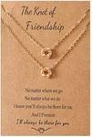 Friendship Matching Necklaces for B