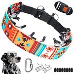 Dog Collars For Walking Dogs