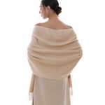 RIIQIICHY Scarf for Women Pashmina Shawls and Wraps for Evening Dresses Fall Winter Scarves